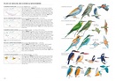 Vogelgids A Field Guide to the Birds of Mongolia | John Beaufoy