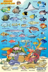 Waterkaart BONAIRE MINI FISH CARD | Franko Maps