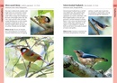 Vogelgids Birds of Bali, Sumatra and Java | Bloomsbury