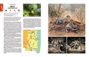 Reisgids Kruger National Park Self-Drive: Routes, Roads & Ratings | HPH Publishing