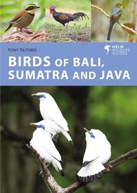 Vogelgids Birds of Bali, Sumatra and Java | Bloomsbury