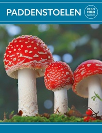 Natuurgids Paddenstoelen - Rebo mini guide | Rebo Productions